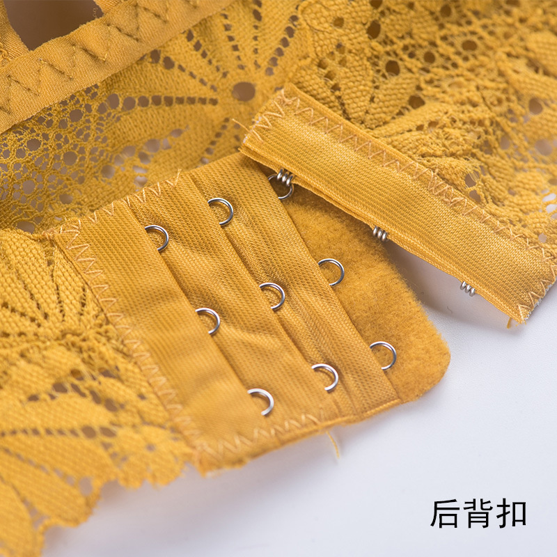 3D Sexy girl lace Lingerie Sea - đánh giá và giá Lace Bralette Set