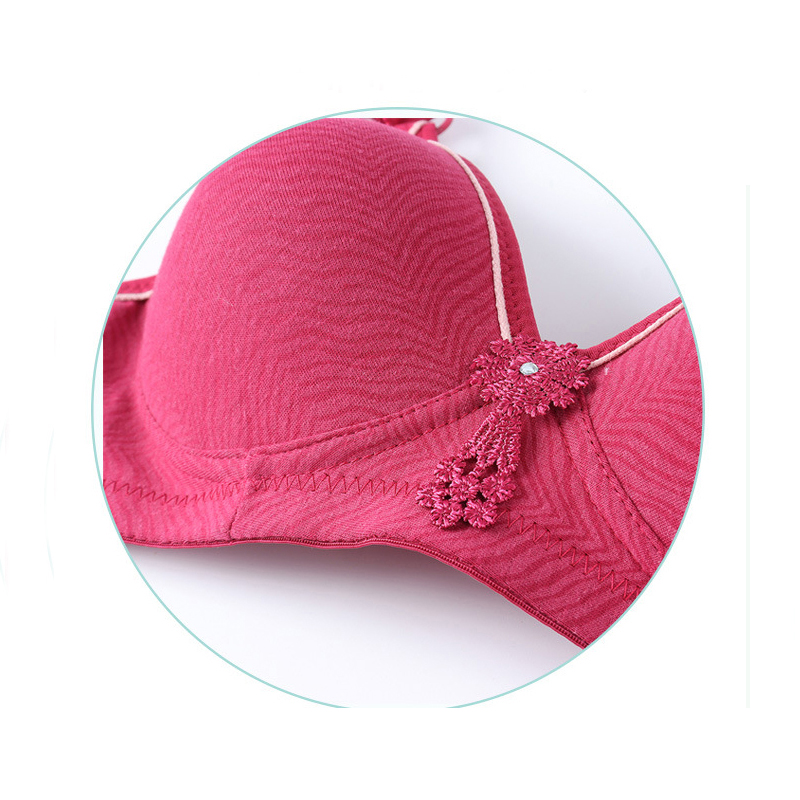 Super soft cotton bras for wom - đánh giá và giá Sheer Bra Lace