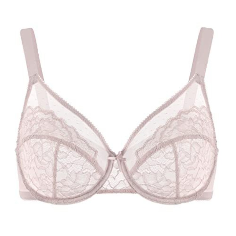 Plus Size Lace Bra French Push - đánh giá và giá Sheer Mesh Bra